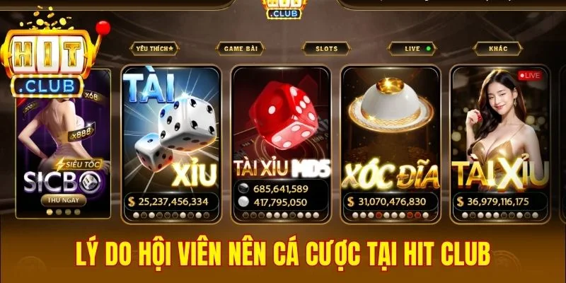 Lý do hội viên nên cá cược tại Hit Club